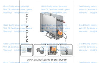 China Indoor Bath Room Sauna Steam Generator Home Steam Saunas 6.0kw 220V supplier