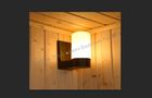 China Wall Mounted Sauna Light / sauna lamp for traditional sauna room factory